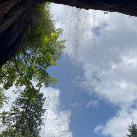 お盆スペシャル①の画像