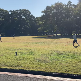 ジャベリック④の画像