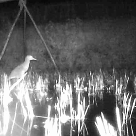 すぎぴたんの事件簿シーズン２　８話の画像