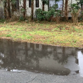 雪予報でしたが、、、の画像