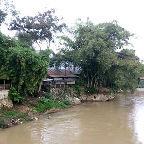 インドネシア・スラウェシ島たより☆の画像
