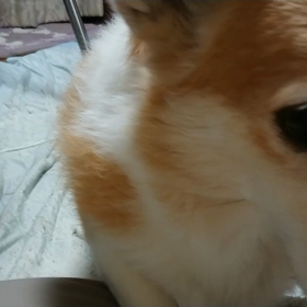 どこ？どこ？？の画像