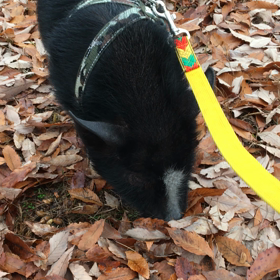 やれやれの画像