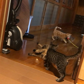 あげないからねぇ〜(・∀・)の画像