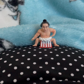 朝の胎動の様子の画像