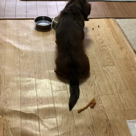 ランチを後回しにしてさんぽに^_^の画像