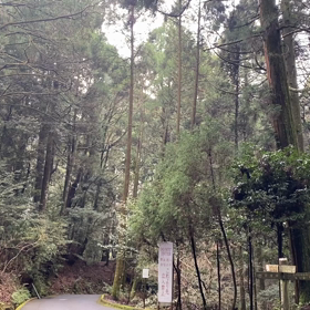 豊かさとは　KIN3の画像