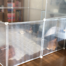 うーちゃんの本気の画像