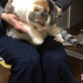 ノリノリ♬の画像