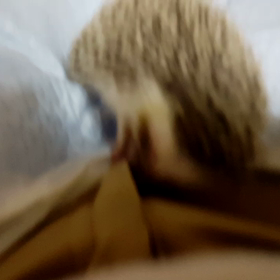 えーん(;o;)の画像