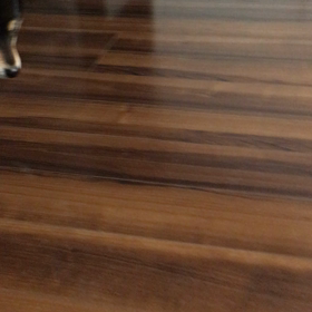 新しい家族？の画像