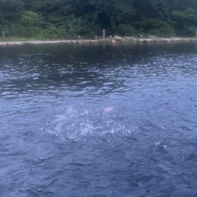 7/4、今日の釣り場。明日の予定。の画像