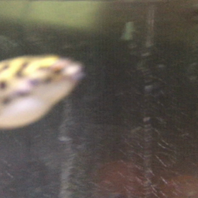 マツコの食事風景　リブログ　”お迎え その2”の画像