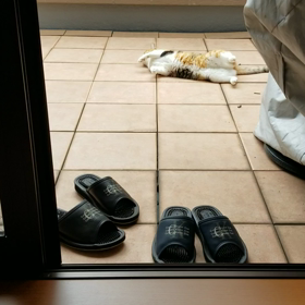 久々のお外の画像