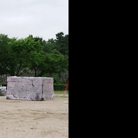 鮮明に写ると…の画像