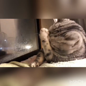 一見すると…の画像