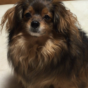 もったいぶる。の画像