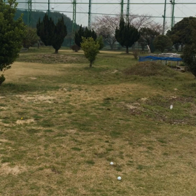 2018.3.27振り返り&優勝おめでとうございます。の画像