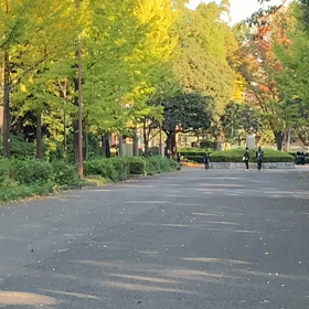 記録会 女子Cグループ①の画像