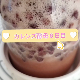 元気なカレンズ酵母完成(*^^*)の画像