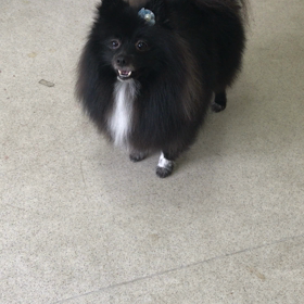 ♪プレイルーム動画♪の画像