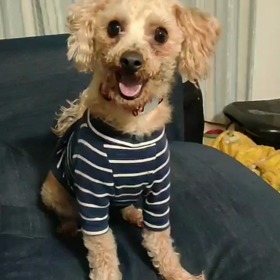 レオ　キャッチ♡の画像