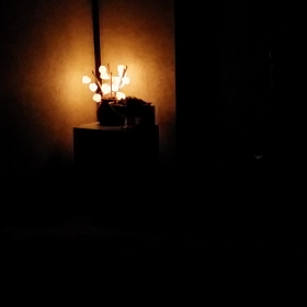 KARADAが悦ぶ( 〃▽〃)の画像