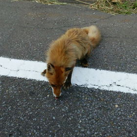No114－急に日光。荒ぶる塩水。の画像