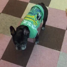 脱がして〜の画像