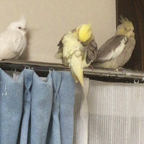 休息の時間の画像