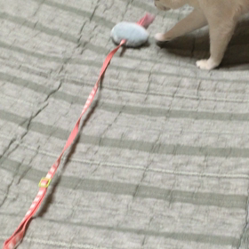 一緒に・・・の画像