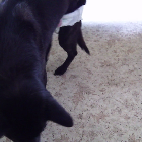 リハビリの画像