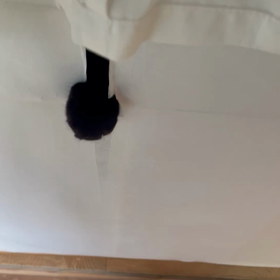 悪猫団が出た！の画像