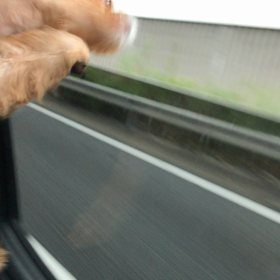 風を食べるの画像