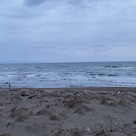 今朝の海の画像