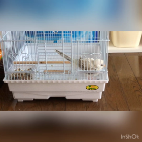 初めての水浴びの画像