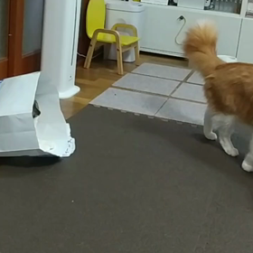 我が家の様子の画像