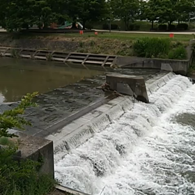 4ヶ月ぶりの画像