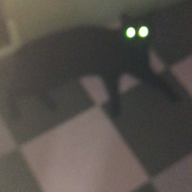 なぜ写真映りが悪いのだ？の画像