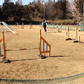 2/21(木)の画像