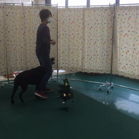 もうすぐクリスマスですの画像