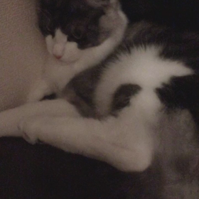 ジョンインちゃんの画像