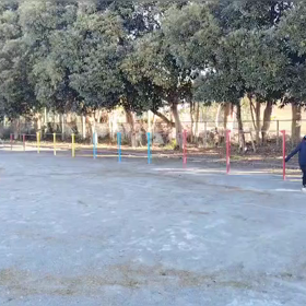 1/27 走り幅跳び練習⑦の画像