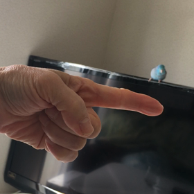 呼んで来てくれる手乗りライちゃんの画像