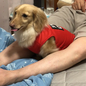 お嬢様受難の日の夜　1の画像