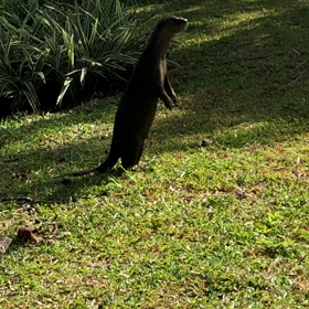 ジュロンでよく会う家族♡の画像