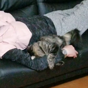 ウニャウニャ？の画像