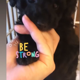 見えた見えた女子力見えた❤の画像