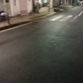 なにこれ！？の画像