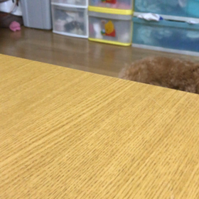 元気ハツラツ！の画像